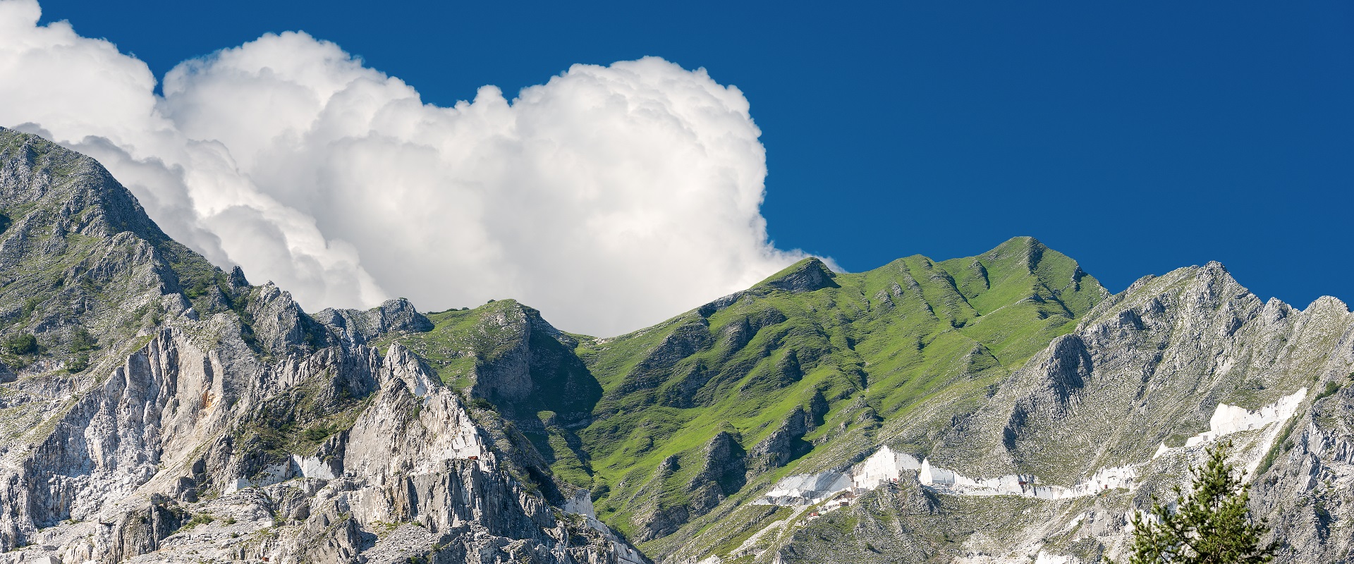 ALPI APUANE VERSILIESI